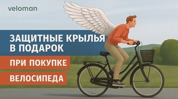 Крылья в подарок