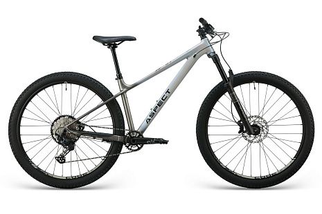 Велосипед Aspect Ronin Elite 29 (2025)